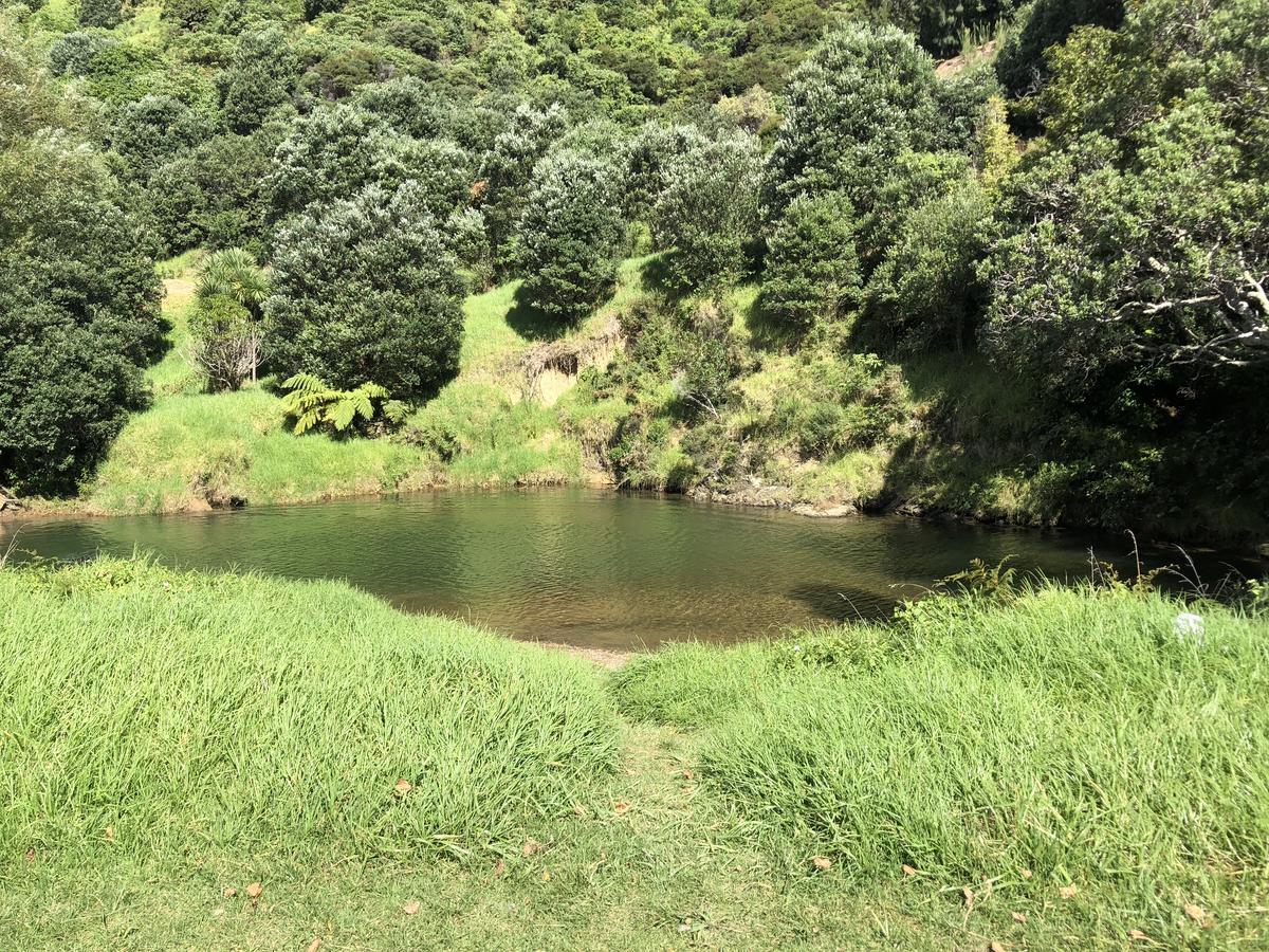 Te Mata Bay Seaviews Bed and Breakfast Tapu Exteriör bild